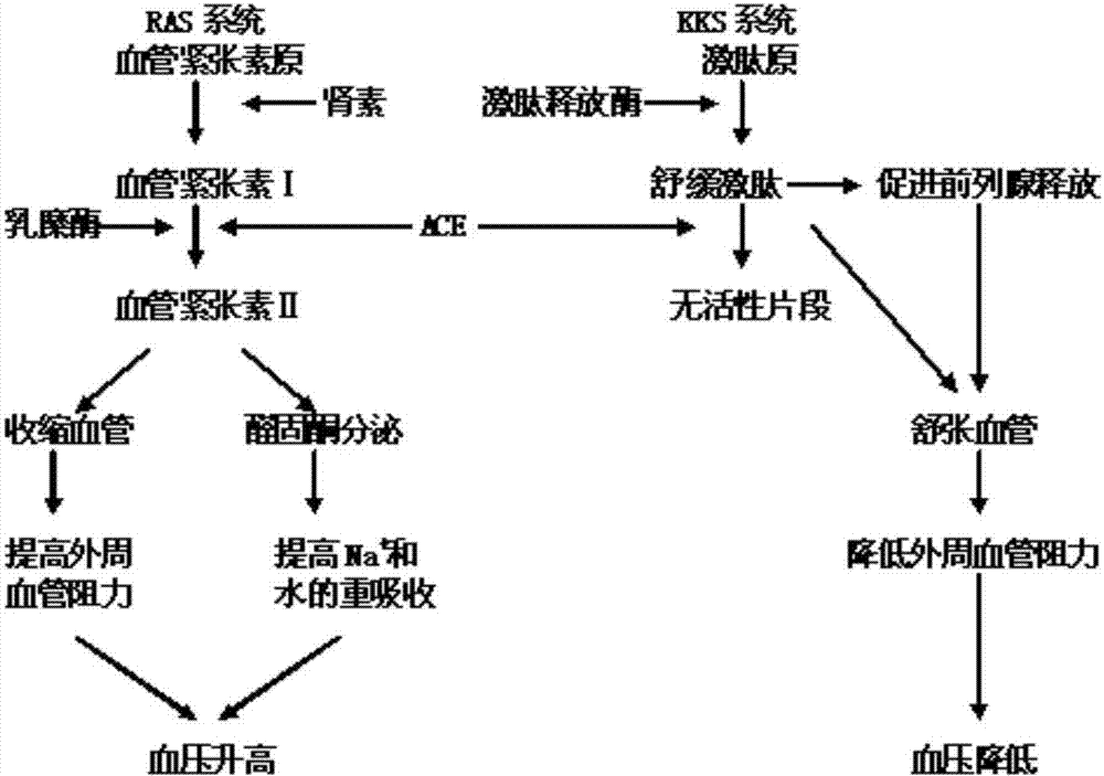 【球友会平台为您提供全网最全的体育赛事直播与专业的在线投注服务。高赔率、安全快捷,立即注册体验!】湖北甘肃发生亚洲I型口蹄疫疫情(图4) 球友会平台为您提供全网最全的体育赛事直播与专业的在线投注服务。高赔率、安全快捷,立即注册体验!